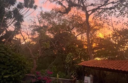 Garabito Bed & Breakfast | Blue Palm Bed & Breakfast