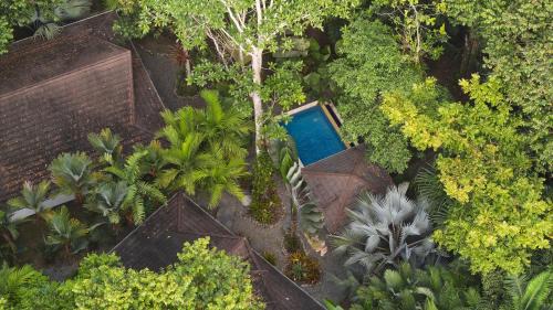Chiguata House | Bodhi & Nirvana Houses