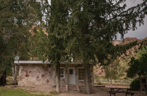 Rincon del Atuel Cabin | Bosque Divino Cabañas & Suites