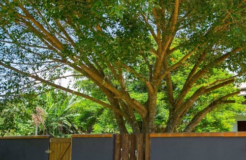 Praia da Armacao do Itapocoroi Hotel | Green & Sea Studio House