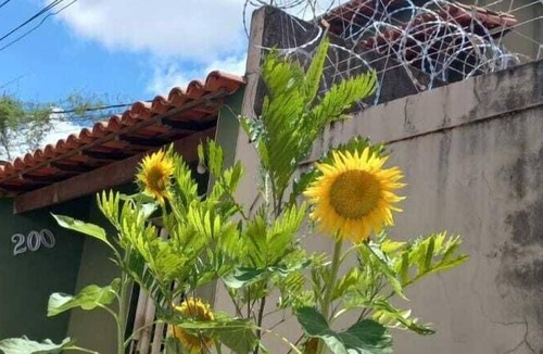 Paracatu Hotel | Brasileirinho Pousada e Refeições