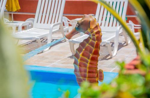 Praia do Meio Hotel | Brisa do Mar Beach Hotel