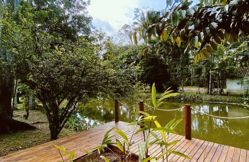 Cabore Cabin | Bromeliad Suite