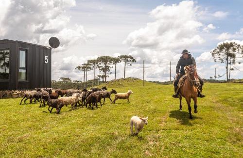 Cambara do Sul House | Brumas Casa de Campo - Cambará do Sul