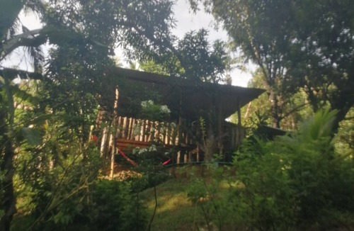 Naranjito Cabin | Cabaña de Montaña .ideal Para Familias ,o Grupos de Amigos.amamos las Mascotas