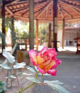 Pilar House | Cabaña Karaja - Cabaña Paso de Patria