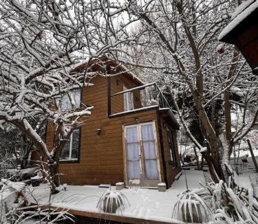 Villa Los Coihues Ski Chalet | Cabaña "Tierra de Gigantes" Los Coihues Bariloche