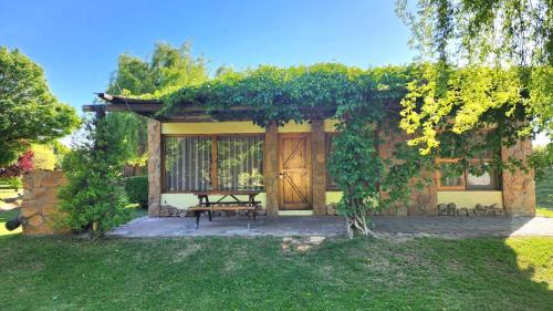 Rama Caida Cabin | Cabañas Altos de la Bodega