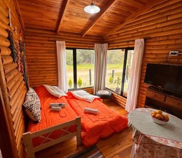 Concordia Ski Chalet | Cabañas en Concordia