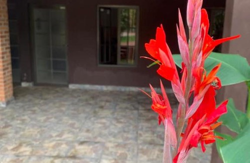 Puerto Iguazu Apartment | Cabañas Iguazú