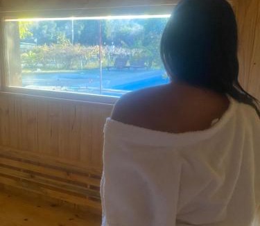 Chilecito Ski Chalet | Cabañas las viñas full