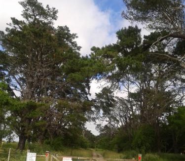 Chascomus House | Cabañas Tranquera 8