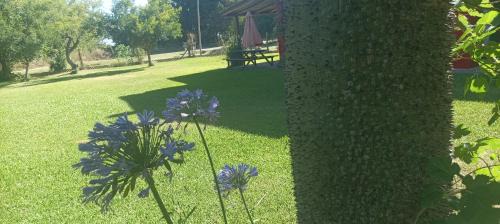 Chascomus House | Cabañas Tranquera 8