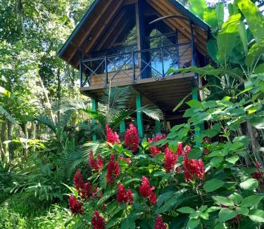 Imarui Ski Chalet | Cabana com Cachoeira Privativa