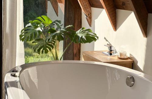 Mariscal Villa | Cabana Com Hidro Na Natureza - Baoba Suites