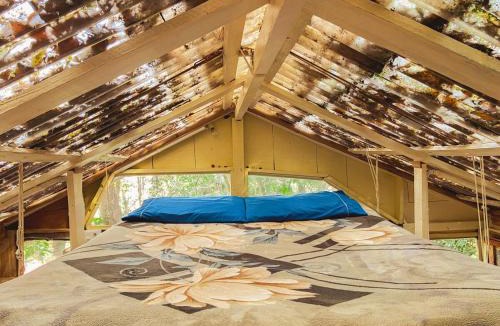 Ouro Preto Ski Chalet | Cabana Floresta Amada
