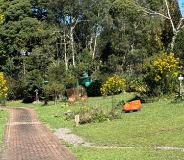 Sao Francisco de Paula House | Cabana Luar