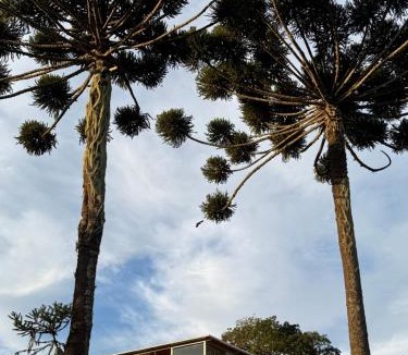 Cunha Ski Chalet | Cabana Teixeira