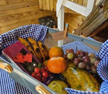 Balneario Gaivota Apartment | Cabanas Tiny House