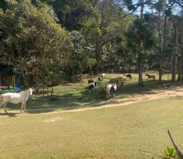Itamonte Other | Cachoeira da Gomeira Hospedaria Camping