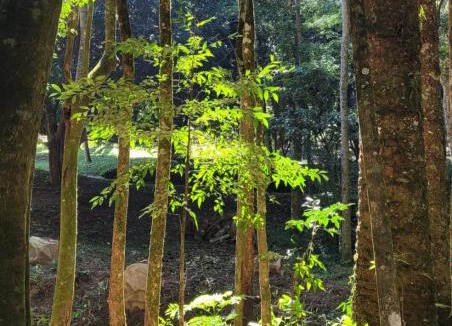Itamonte Other | Cachoeira da Gomeira Hospedaria Camping