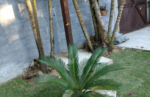 Paraty House | Caiçara Beach