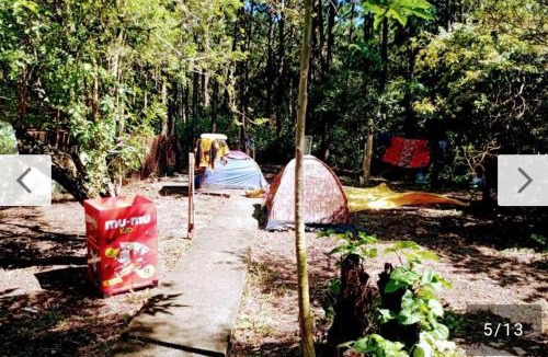Muquem Other | Campin novas palmeiras 953