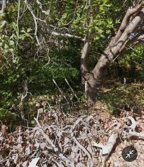 Camocim Other | Camping da silmara g
