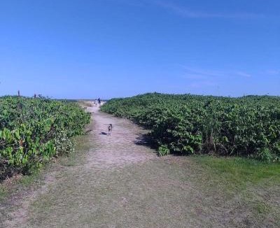 Paranagua Hotel | Camping e Pousada do Ade