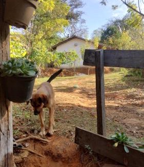 Carvalhos Other | Camping e pousada dos sonhos