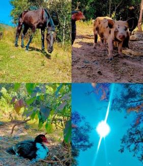 Sao Thome das Letras Other | Camping Nhá Chica