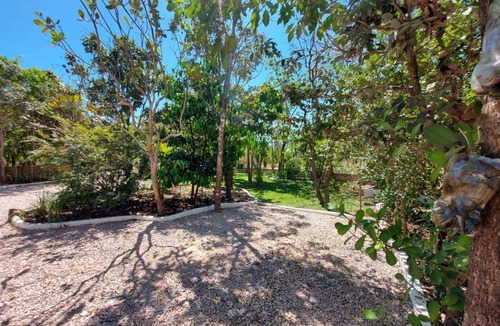 Cavalcante Other | Camping Serra Santana