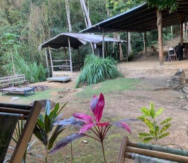 Ilha Grande Other | Camping Vida Longa