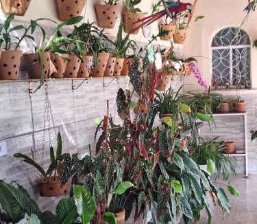 Piratininga House | Cantinho da Paz