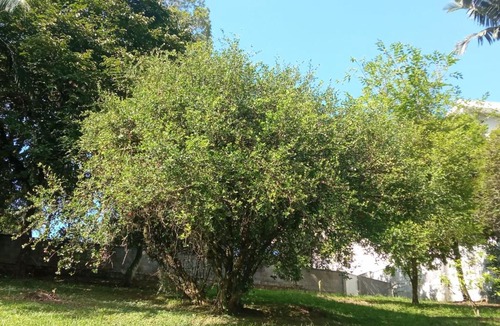 Pomerode Apartment | Cantinho das Flores