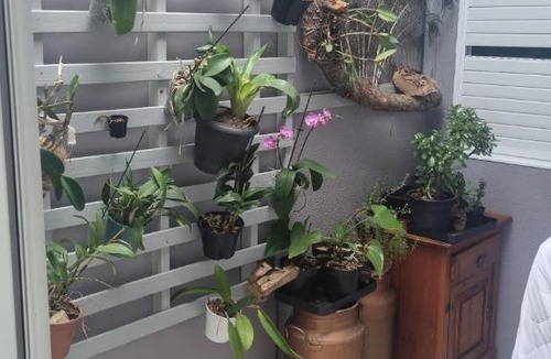Tres Vendas Villa | Cantinho das Orquídeas!
