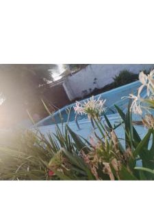 Marica Bed & Breakfast | Casa Aloha Barra