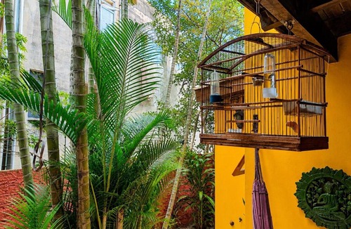 Centro Historico House | Casa Amarela