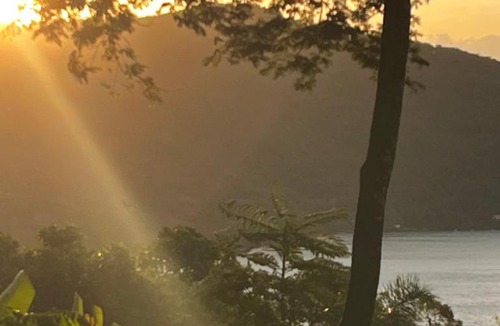 Ilha Grande Cabin | Casa Botanique Jungle Retreat