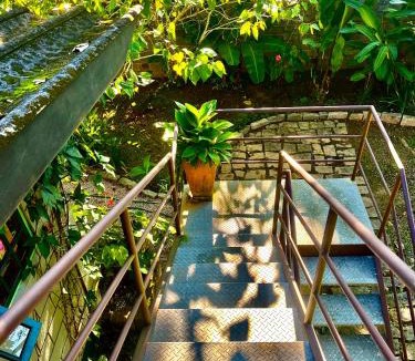 Downtown Ubatuba House | Casa da árvore