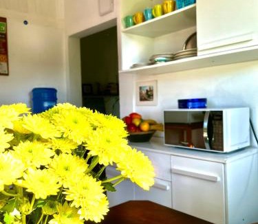 Downtown Ubatuba House | Casa da árvore