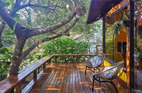 Bonito House | Casa da Árvore: Charme natural próximo ao centro
