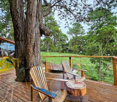 Alto da Boa Vista Ski Chalet | Casa da Árvore - ManTeQuiero
