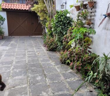 Jardim Excelsior House | Casa da Rosy