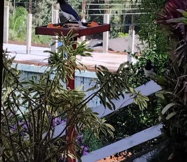 Teresopolis House | Casa de Campo em Teresópolis