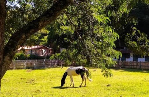Engenheiro Paulo de Frontin House | Casa de Campo: Sítio Santa Helena-Mendes RJ