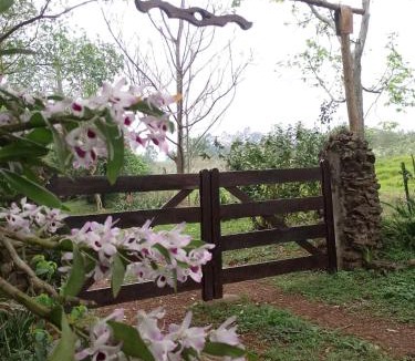 El Soberbio House | Casa de la Guayubira