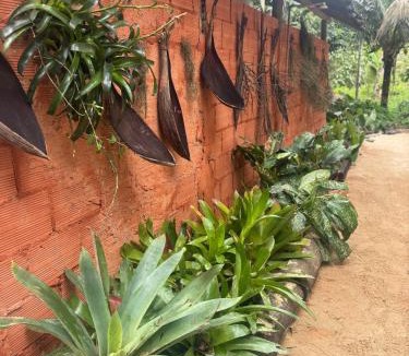 Paraty House | Casa Descanso e Natureza I