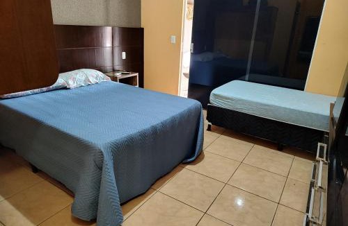 Olimpia House | Casa dos Carvalhos Rua do sabiá 25 coab 1