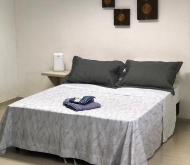 Centro Apartment | Casa edícula no centro com Smart TV